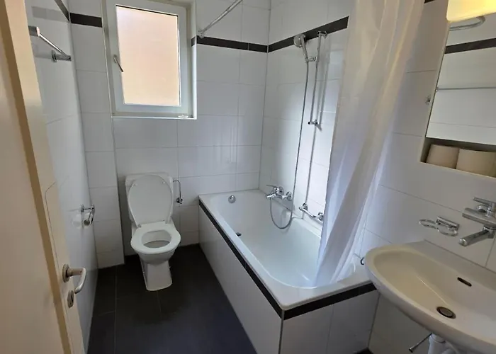 Large Flats, Center - Sch 公寓 苏黎世