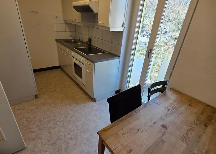 Large Flats, Center - Sch Apartment Zürich