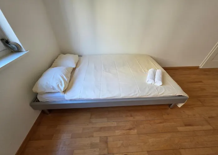 Large Flats, Center - Sch Curych